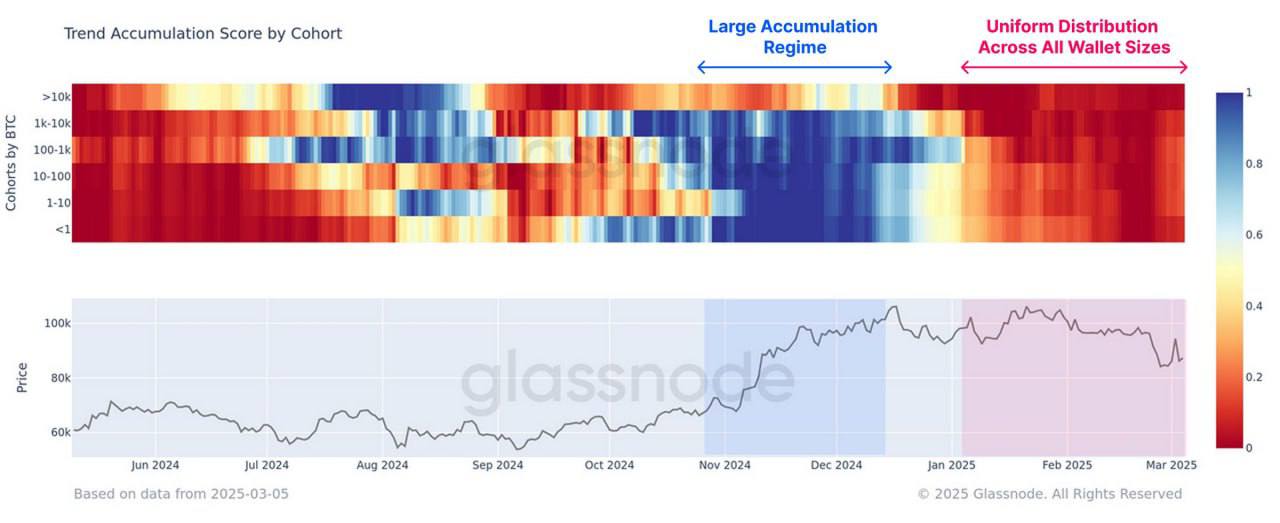 📊 Uniformity in Accumulation and Allocation Trends.