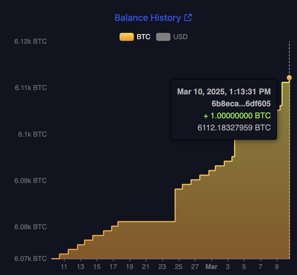 El Salvador Increases Its Bitcoin Reserves