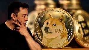 Dogecoin Drops 46% in 10 Days – Is It Trump and Tesla’s Fault?