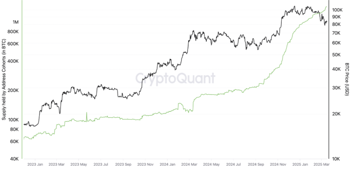 Bitcoin long-term holder behavior shift signals 'unique market dynamic' — Research