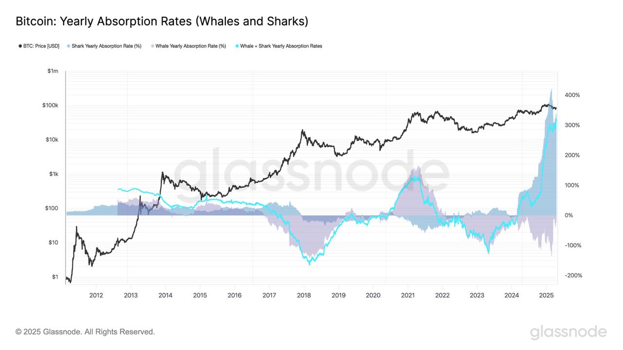 Bitcoin whales absorb 300% of newly mined BTC supply — Is $100K next?