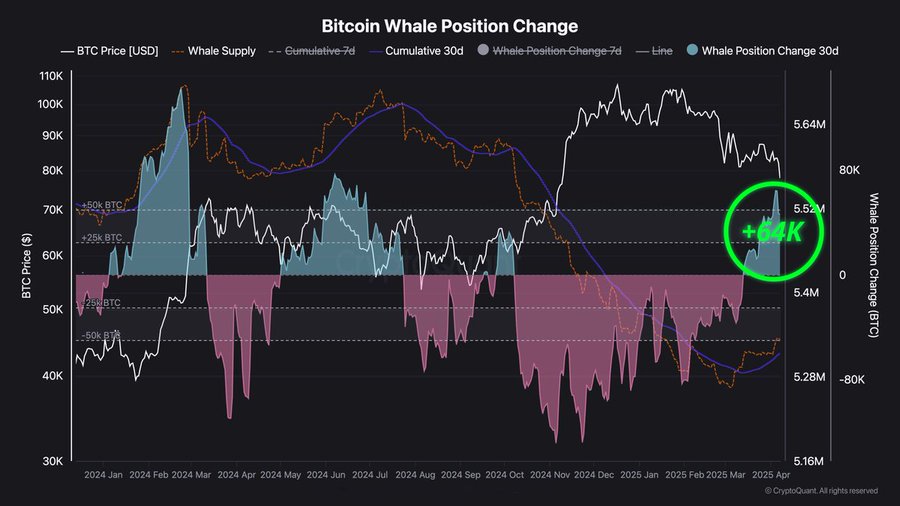 Bitcoin whales, pundits continued to stack throughout April, data shows