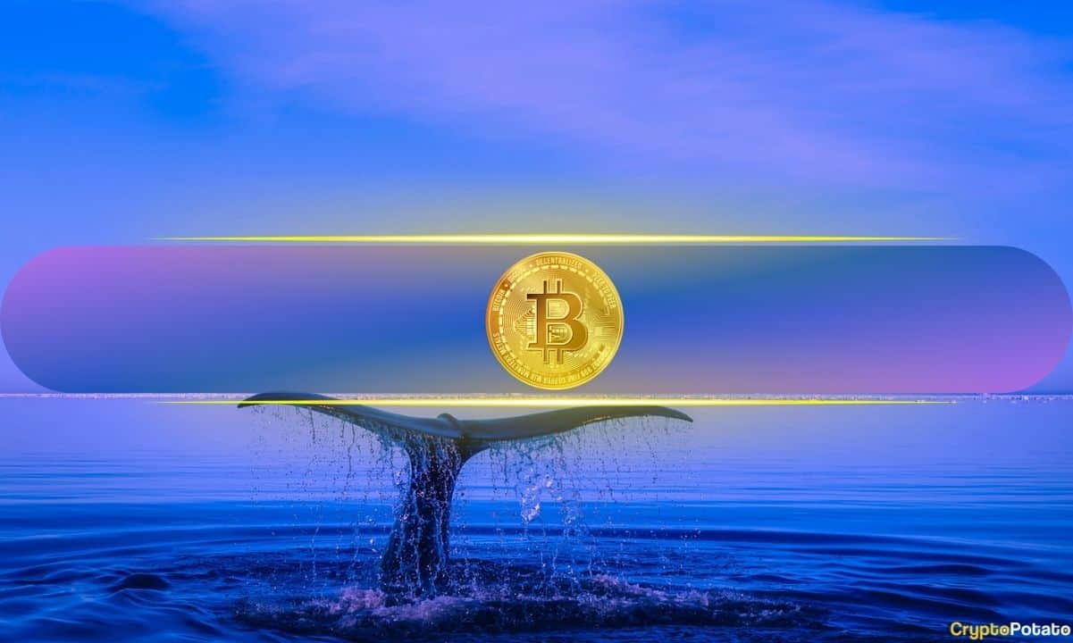 $4 Billion in 2 Weeks: Bitcoin Whales Go on Massive Accumulation Spree