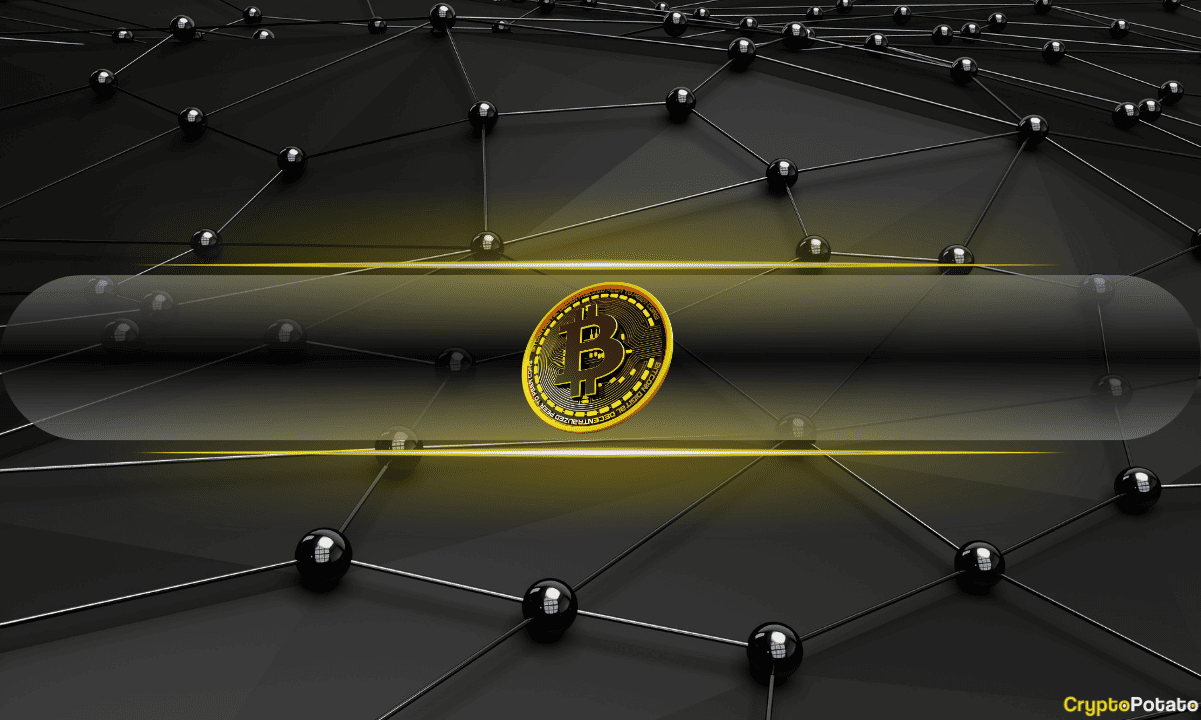 Trump’s Crypto Advisor Says There’s A ‘Space Race’ to Build a Bitcoin Reserve