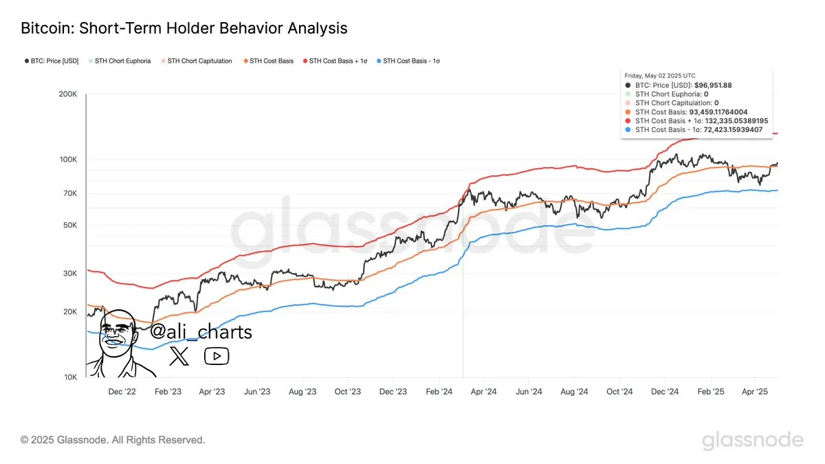 Bitcoin Short-Term Holder Behavior Analysis | Source: Ali Martinez on X