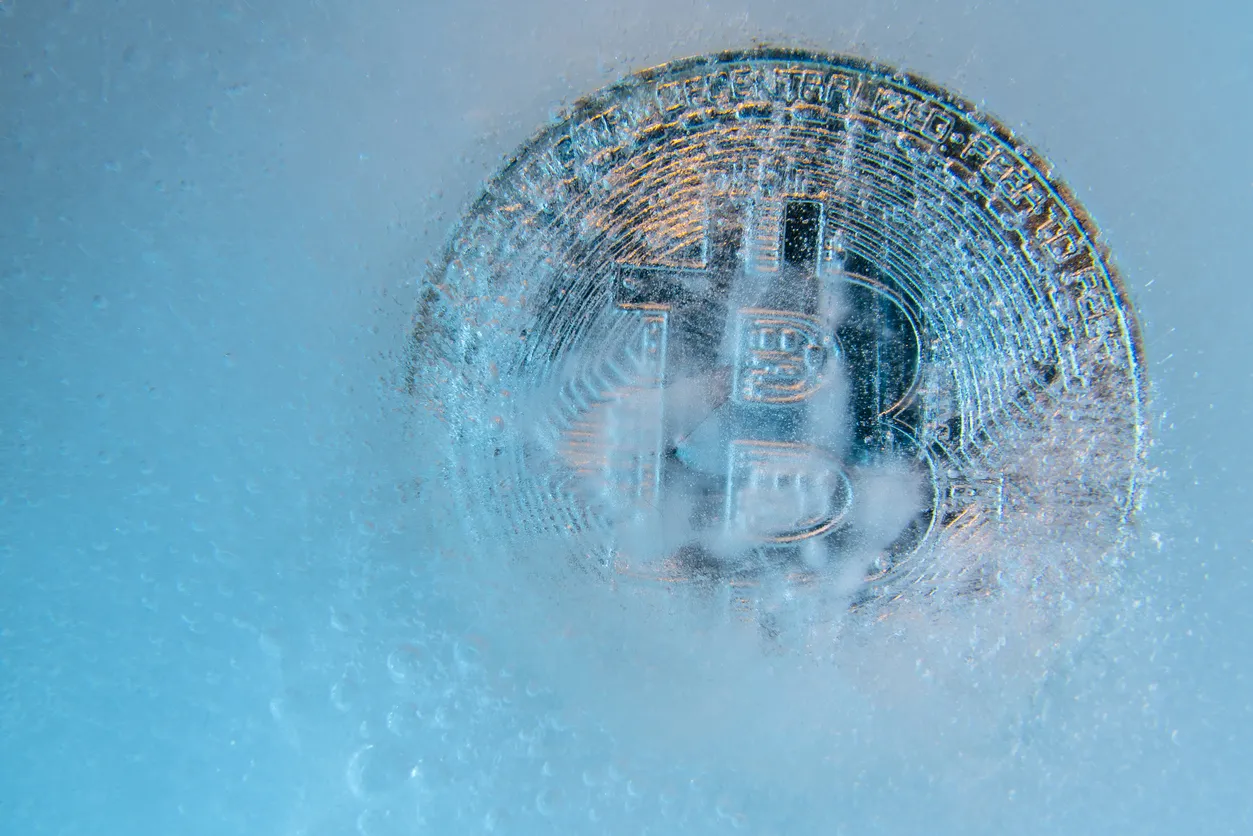 Bitcoin Holds Above $95K Despite Weak Blockchain Activity — Analytics Firm Explains Why