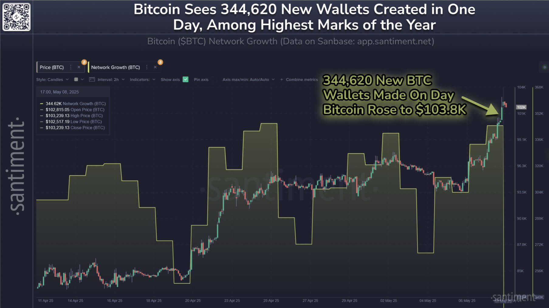 Bitcoin Network Activity