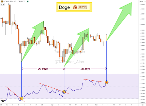 Dogecoin 