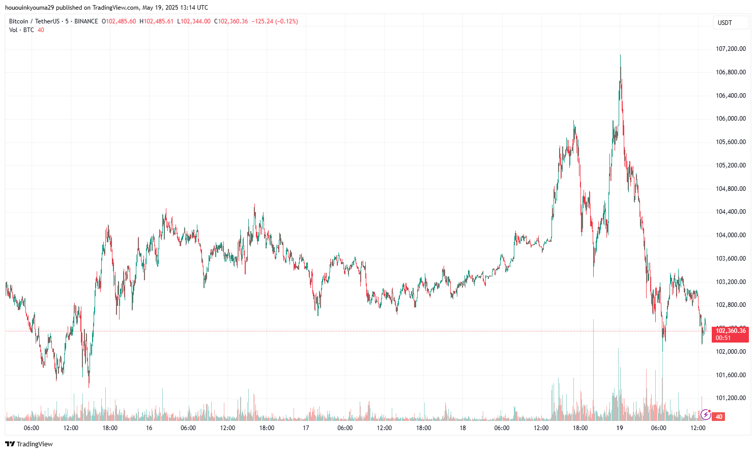 Bitcoin Price Chart