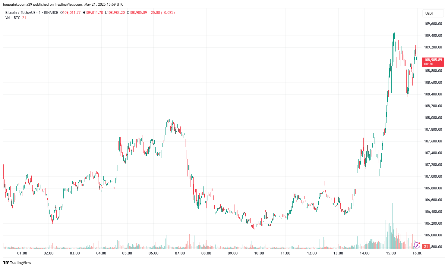 bitcoin Price Chart