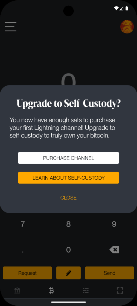 How Zeus is Redefining Bitcoin with Cashu Ecash Integration 5 Zeus Cashu self-custody warning