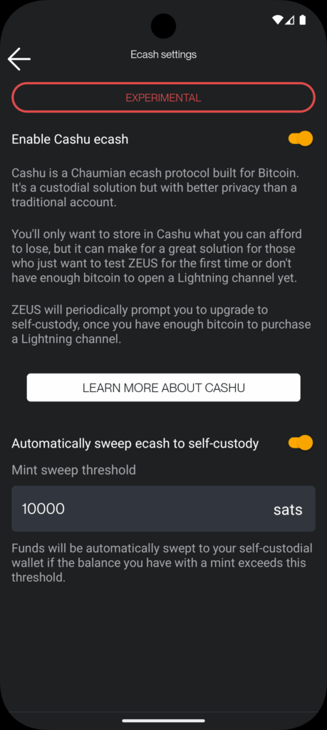 How Zeus is Redefining Bitcoin with Cashu Ecash Integration 7 Zeus Cashu explanation page.