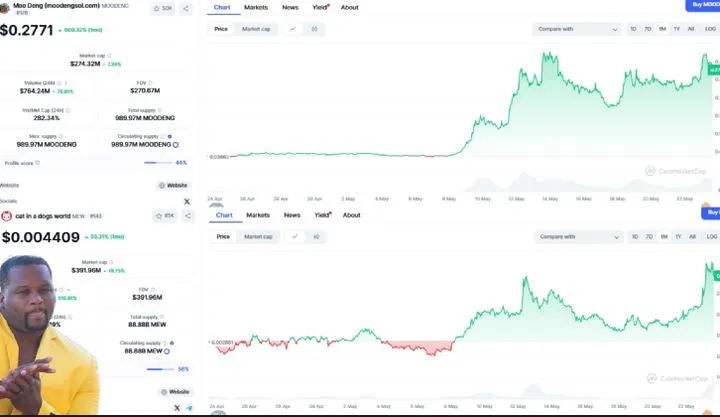 Solana meme coin charts.