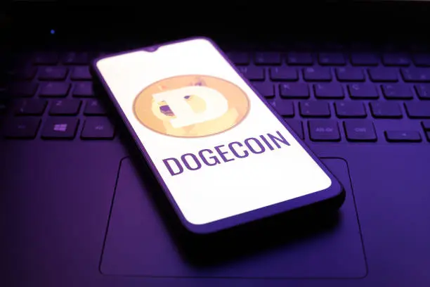 Dogecoin Shakeout Could Plunge Price To $0.21 Before A Run To $0.4 Happens