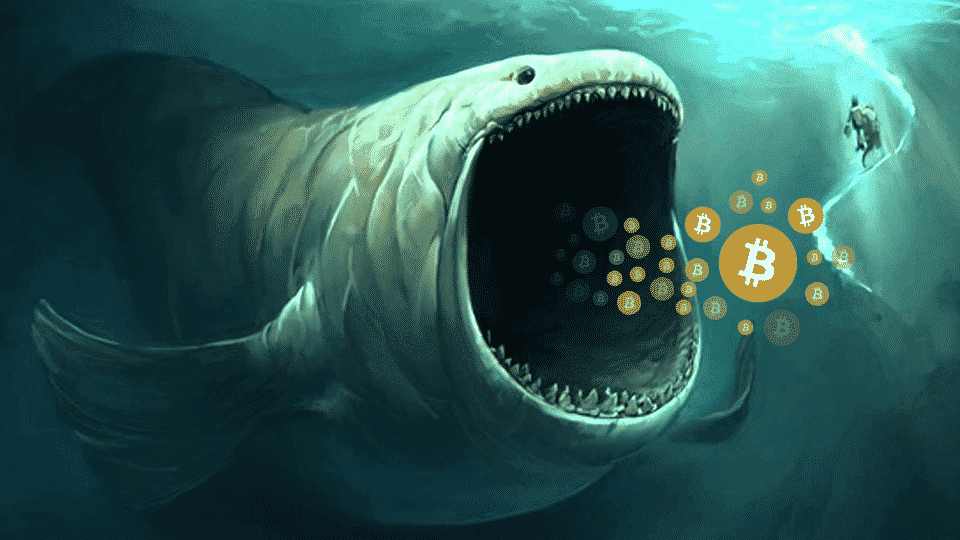 What Happened To The Bitcoin Whale Who Opened $1 Billion Long And Short Positions?