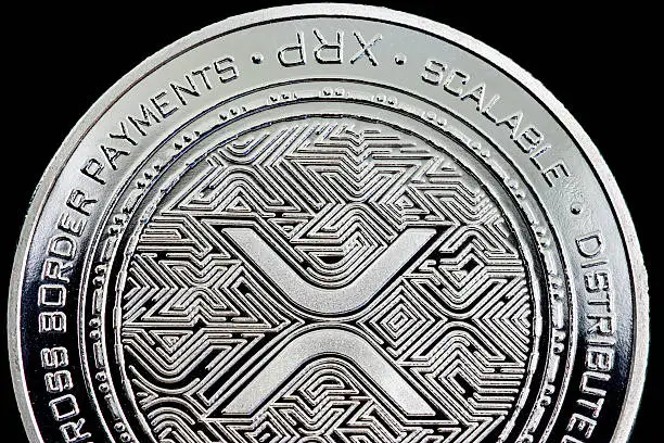 Will Elon Musk Pick XRP Over Dogecoin For X Payments? Market Expert Answers