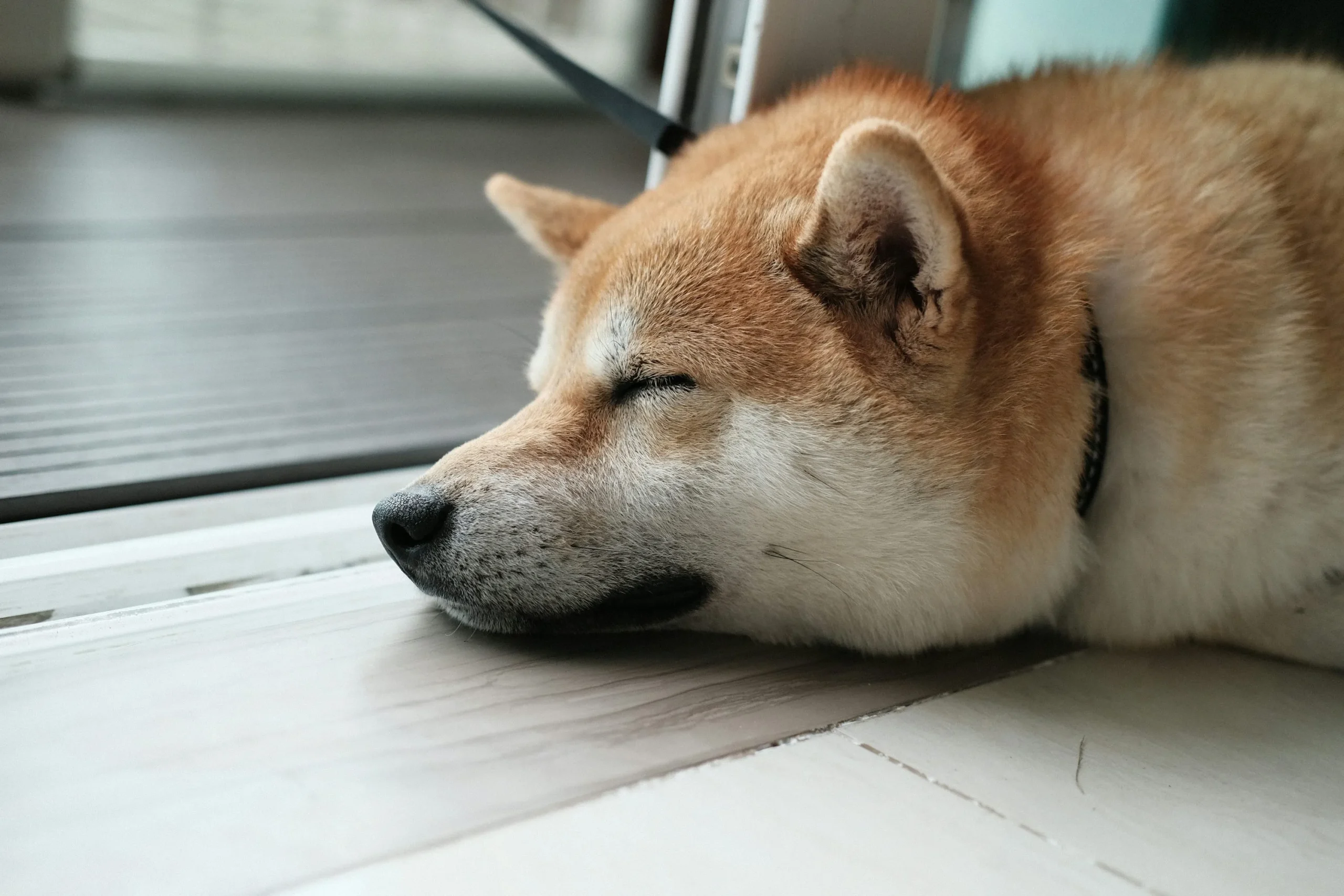 Dogecoin Price Suppression: Analyst Reveals Channel That’s Holding Price Back From Reaching $0.3