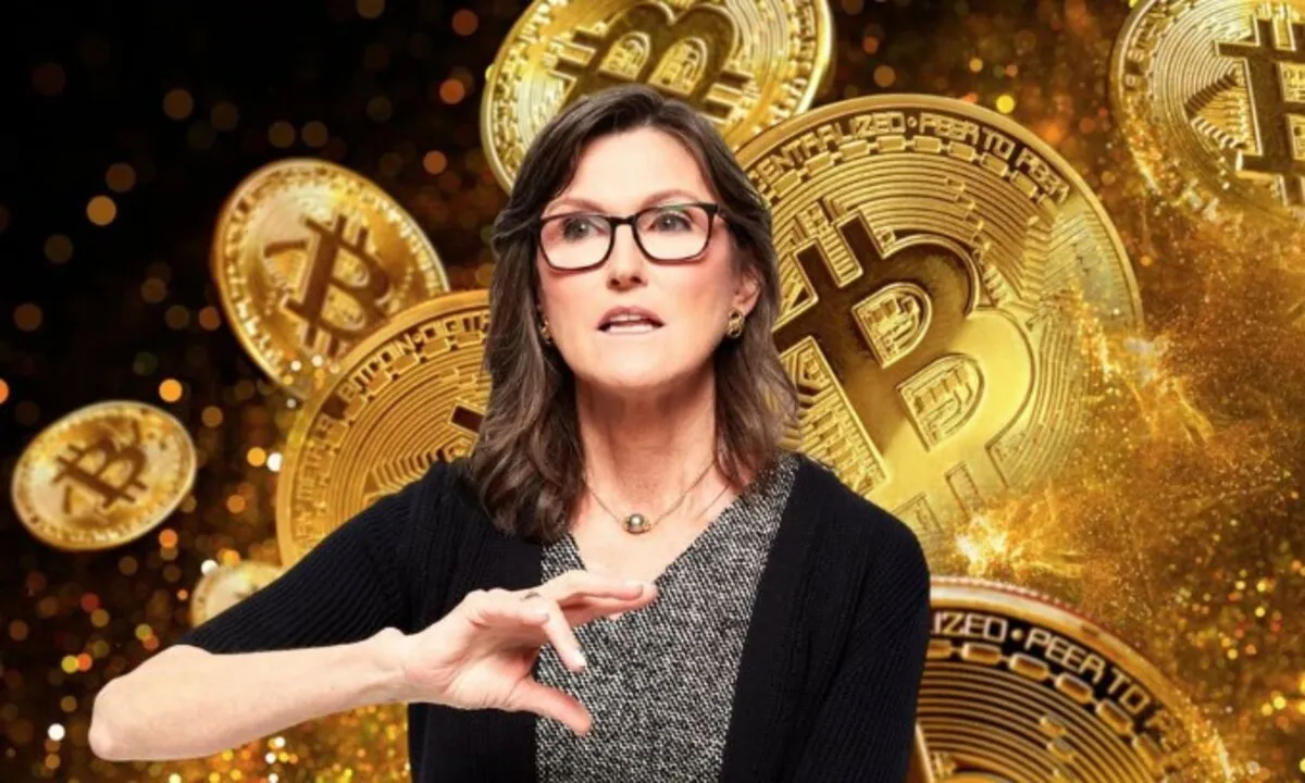 Cathie Wood stawia na Bitcoin. Przedsprzedaże, które warto mieć na oku na rynku podwyższonego ryzyka