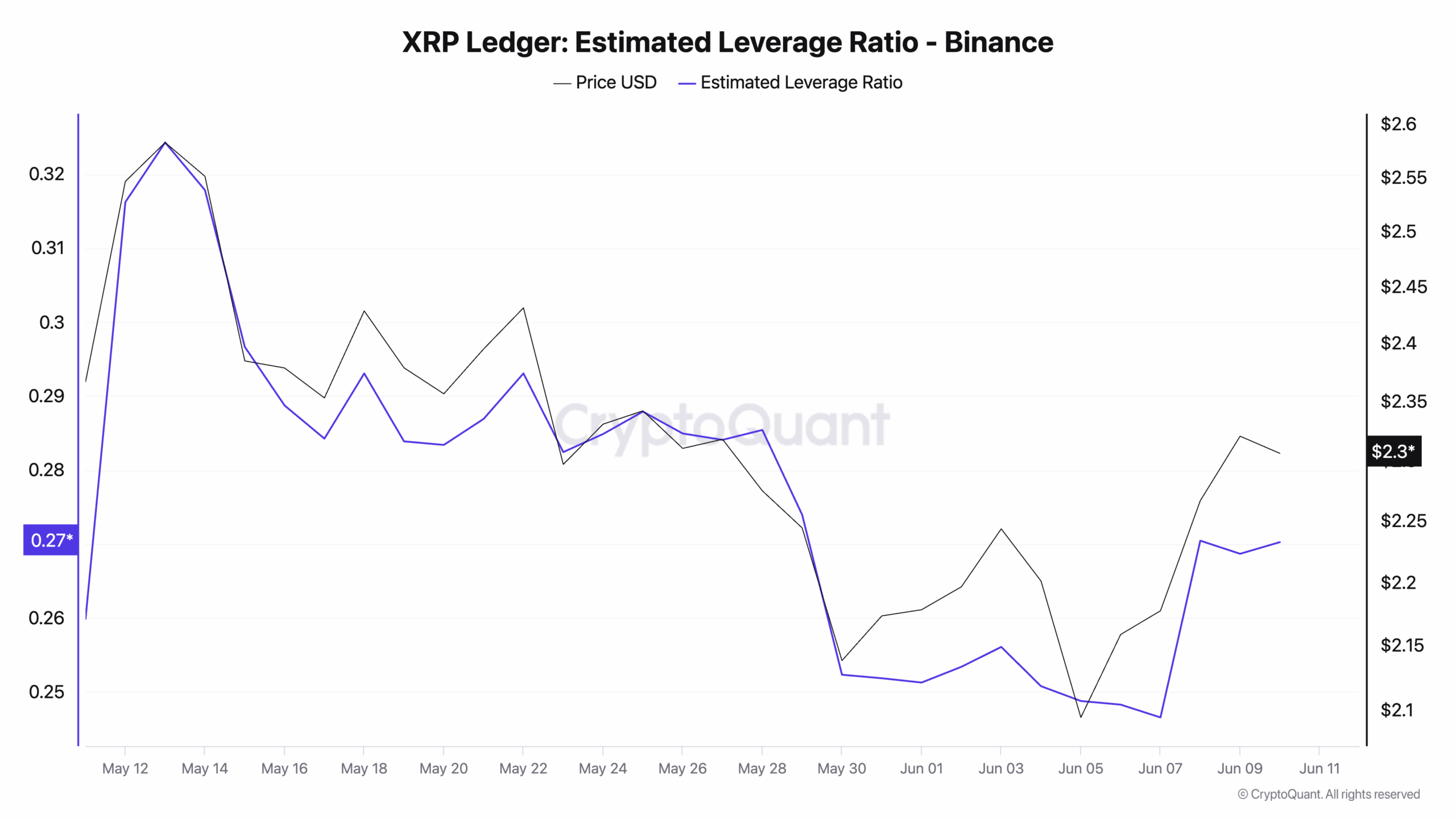 XRP estimated leverage ratio