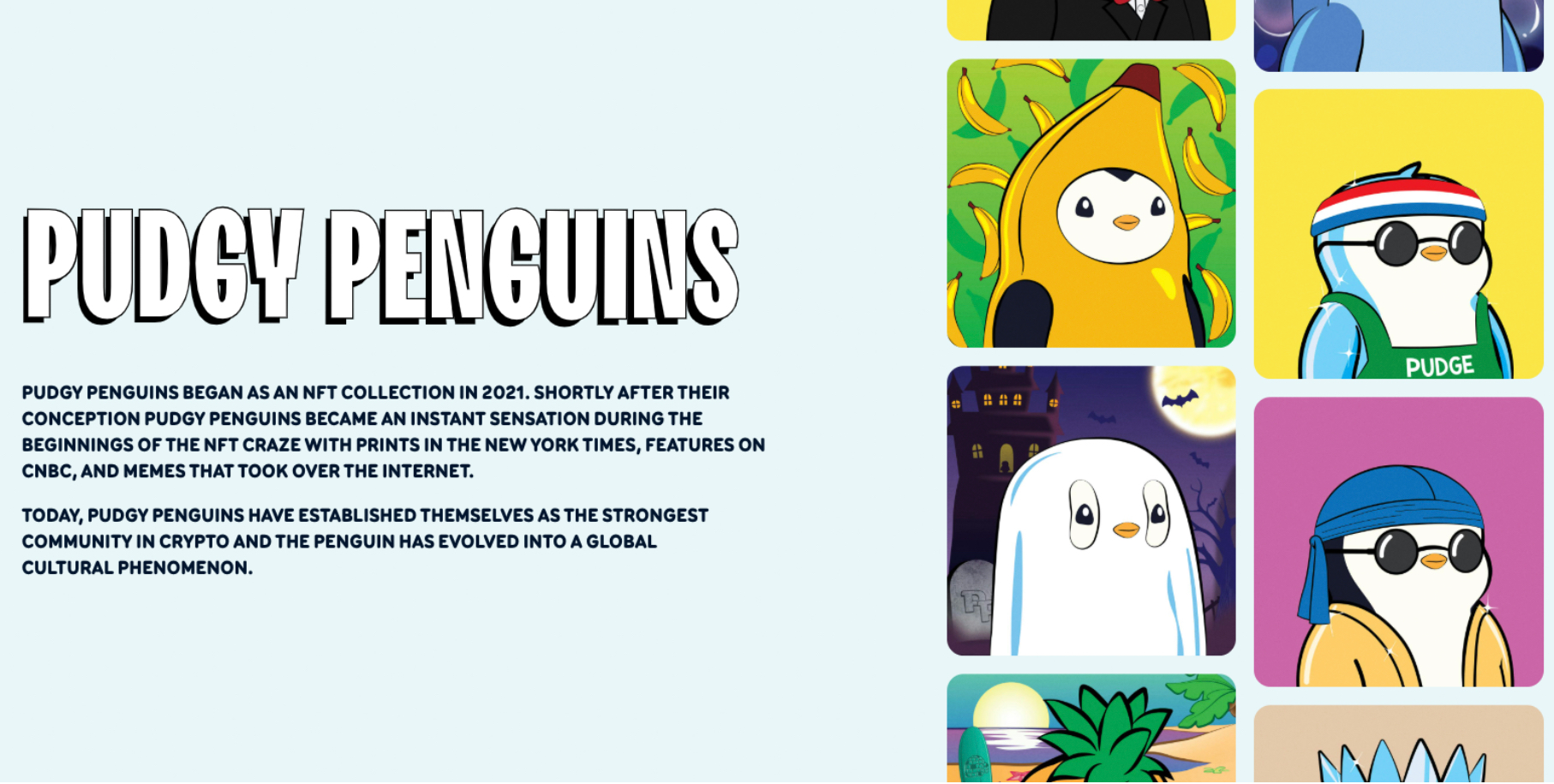 Pudgy Penguins explanation