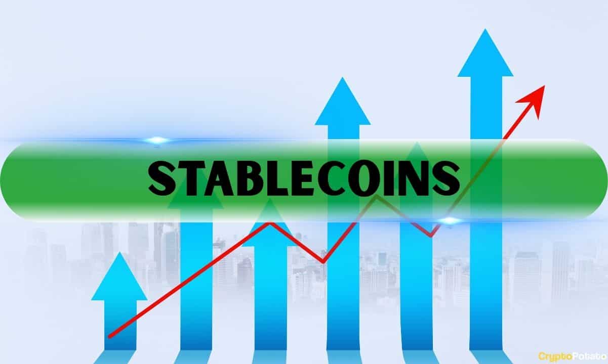 Stablecoins on The Rise: Could They Fuel a Sustained Crypto Rally?