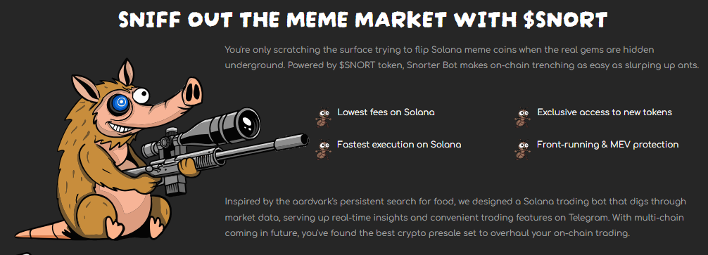 Snorter Token presale page.