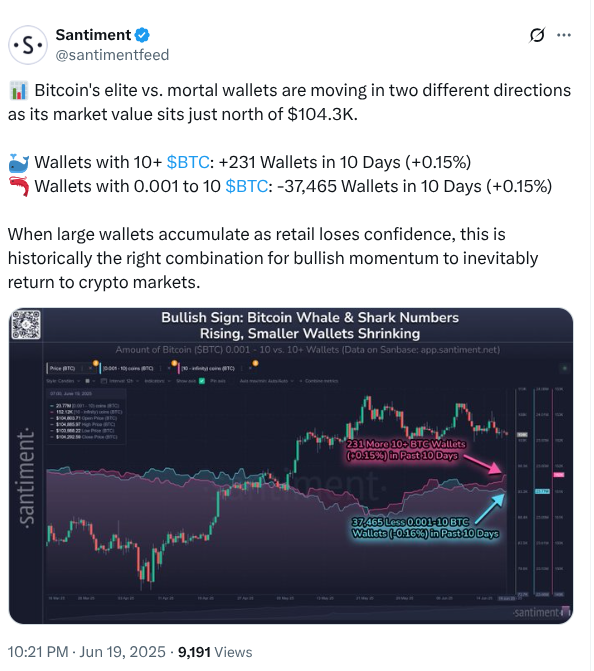 Santiment data reflecting movement of wallets