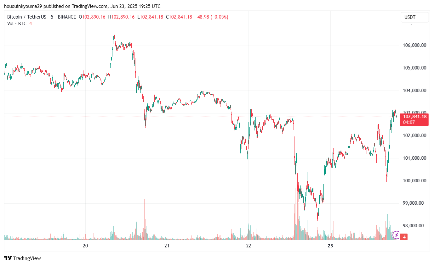Bitcoin Price Chart