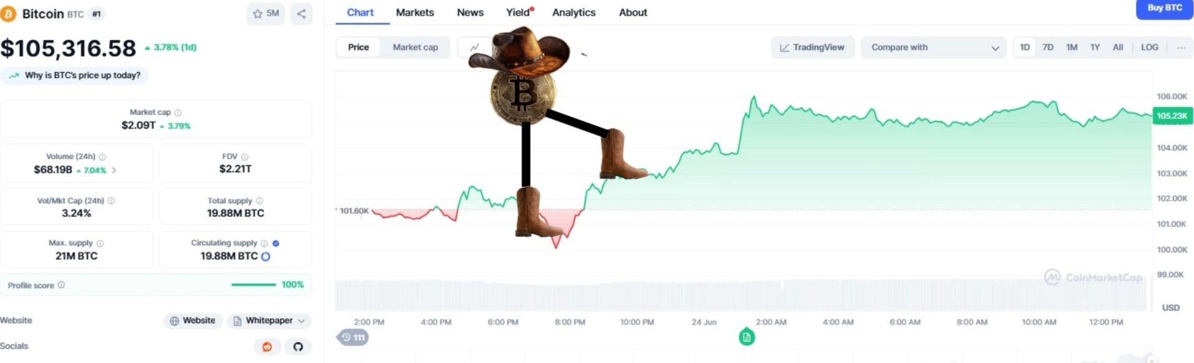 Bitcoin price performance chart with a meme.