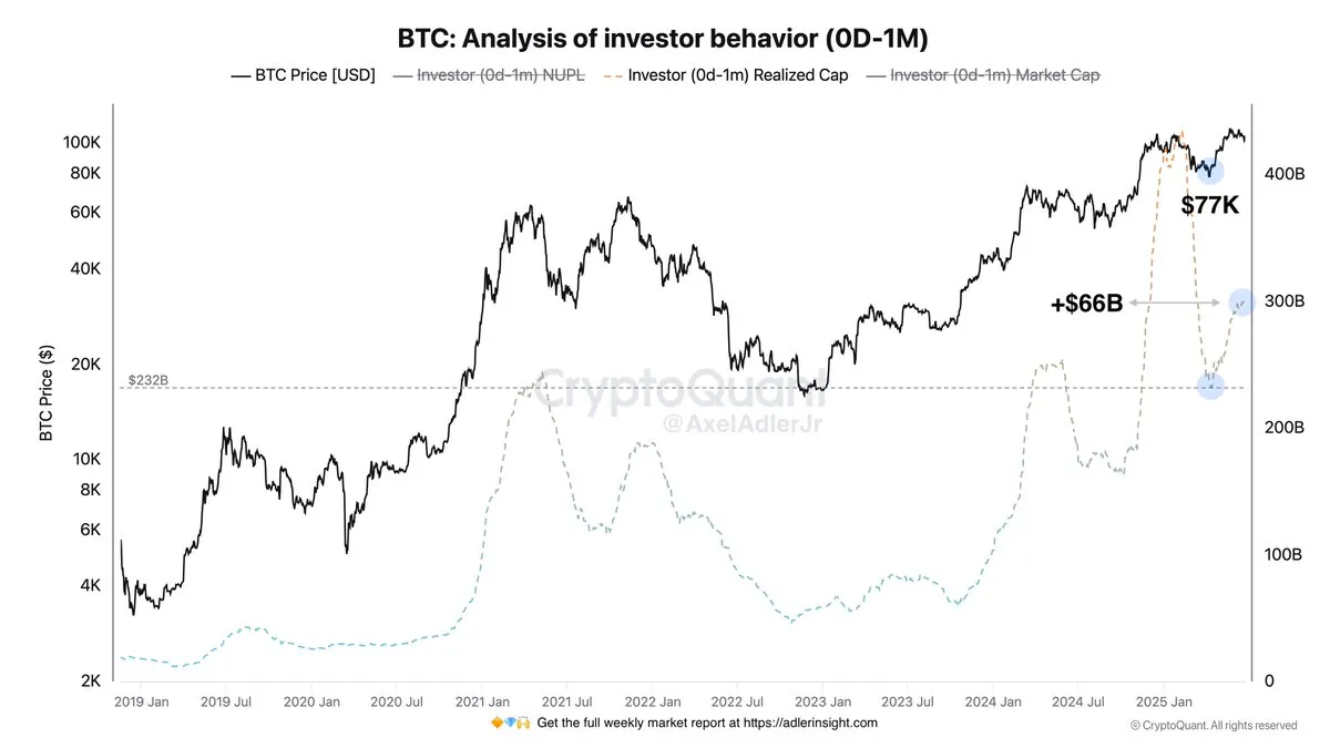 Bitcoin Analysis of Investor Behavior | Source: Axel Adler on X