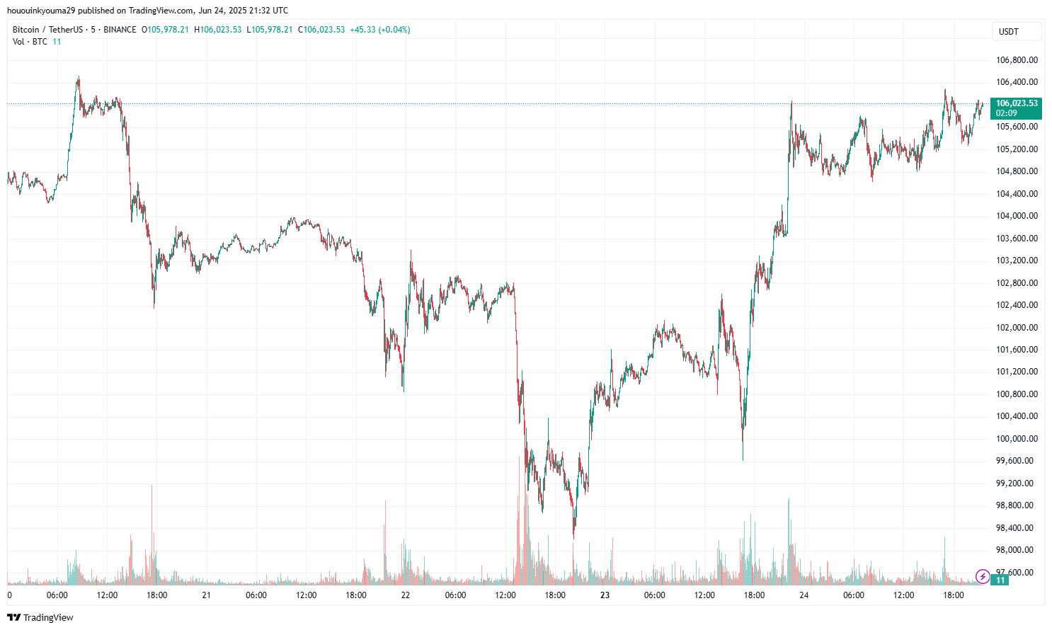 Bitcoin Price Chart
