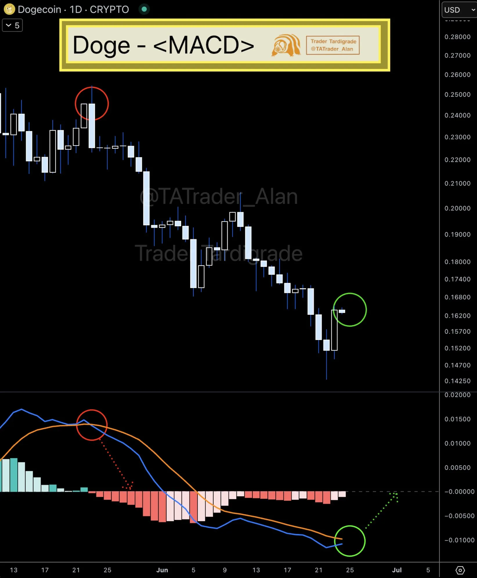 Dogecoin