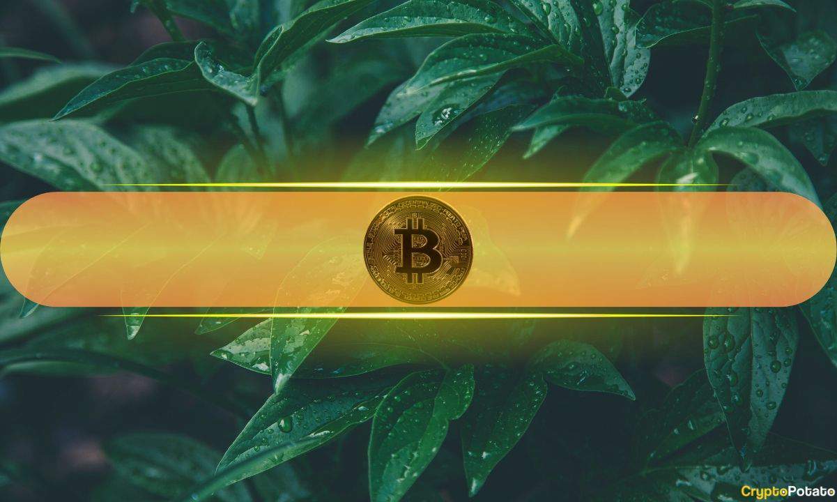 $1.5 Billion Flows Into BTC ETFs This Week as Bitcoin Double Taps $108K